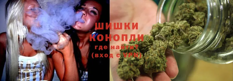 Бошки марихуана THC 21%  Жуков 